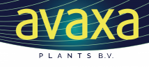 Avaxa Plants B.V.